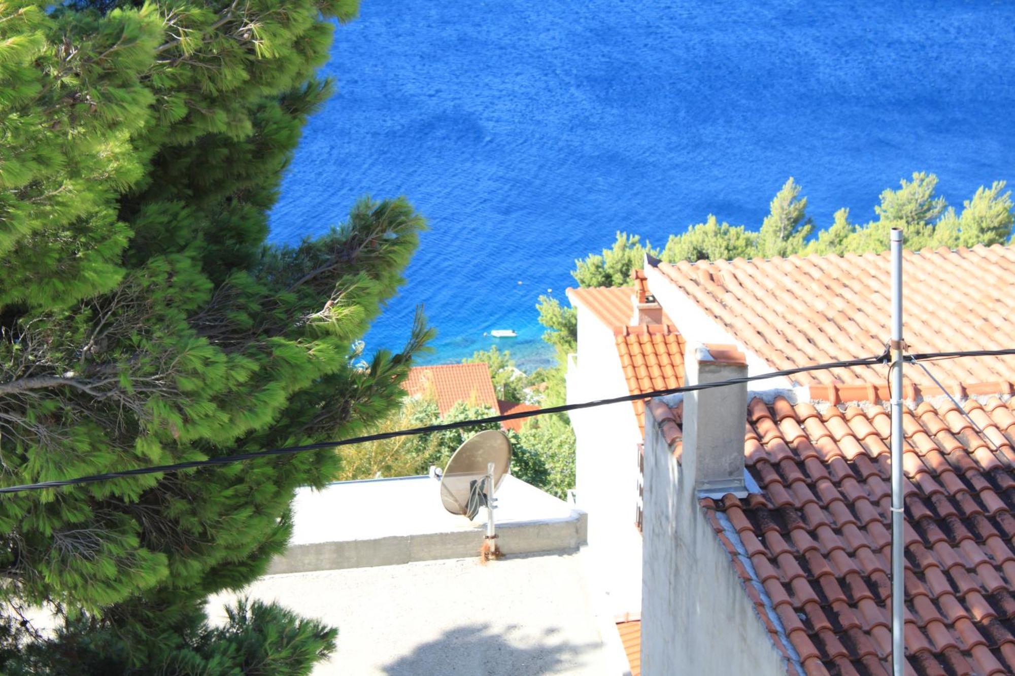 Apartmani Vesna Celina Buitenkant foto